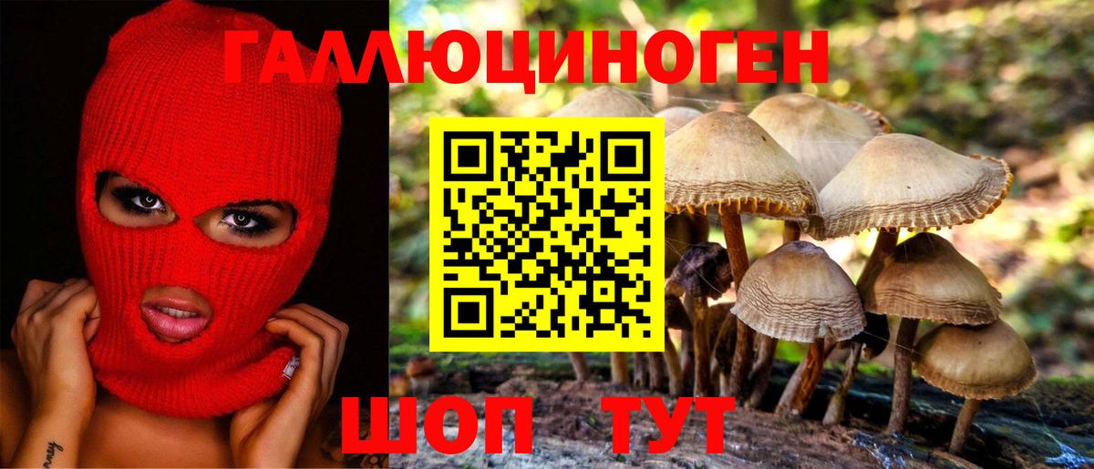 Галлюциногенные грибы Psilocybine cubensis Магнитогорск