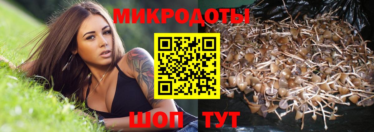 Магнитогорск  наркошоп  Вход с VPN  Псилоцибиновые грибы мухоморы 